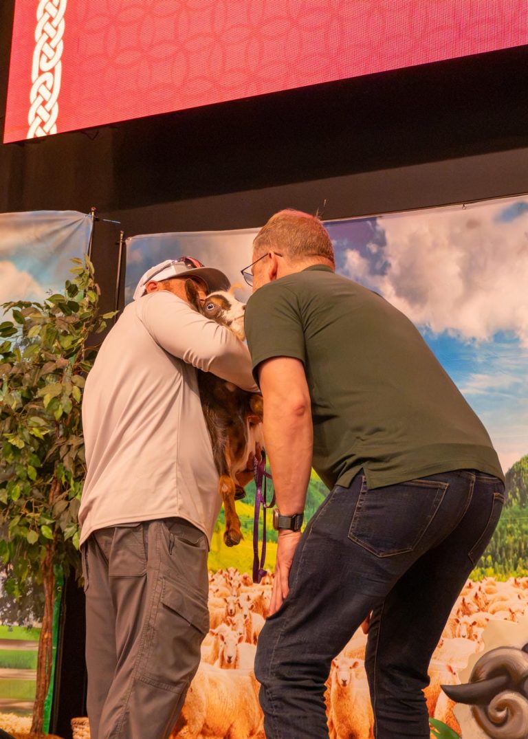 VBS 2026 photo 250